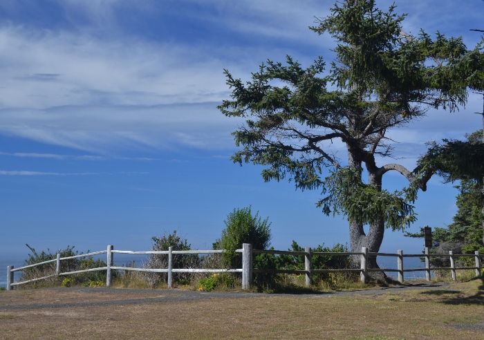the coastal trail 